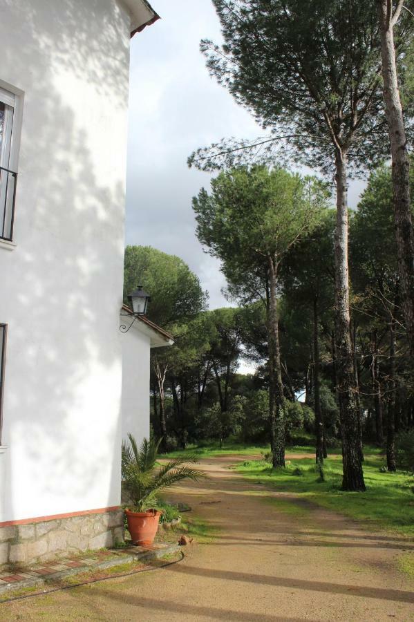 Vina Concepcion Villa Andújar Exteriör bild