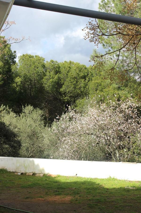 Vina Concepcion Villa Andújar Exteriör bild