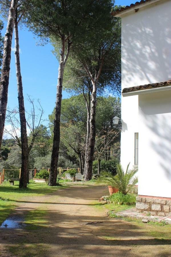 Vina Concepcion Villa Andújar Exteriör bild