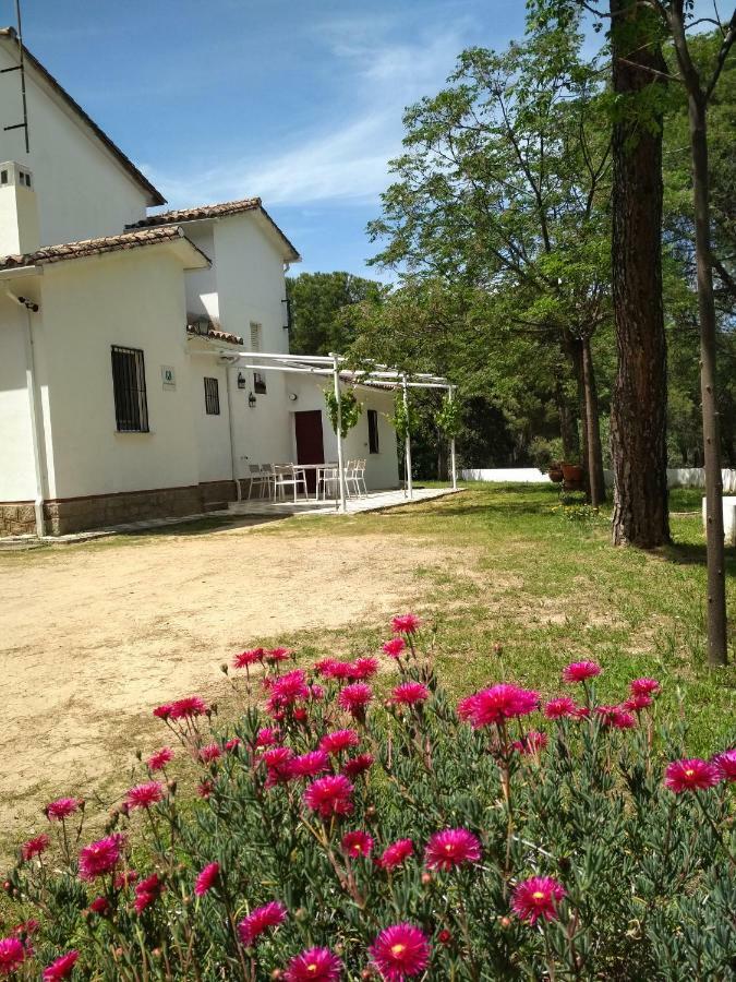 Vina Concepcion Villa Andújar Exteriör bild