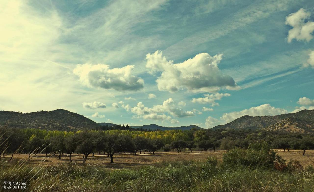 Vina Concepcion Villa Andújar Exteriör bild