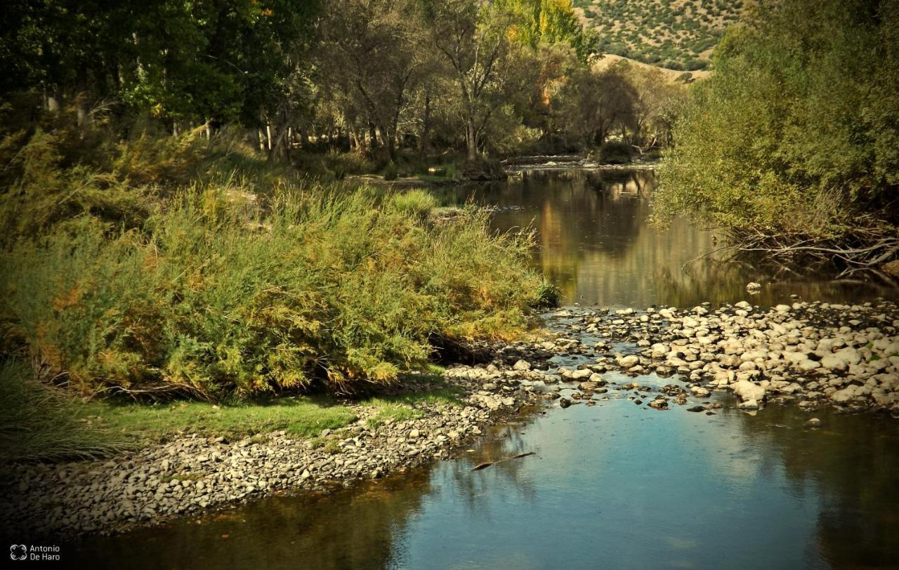 Vina Concepcion Villa Andújar Exteriör bild